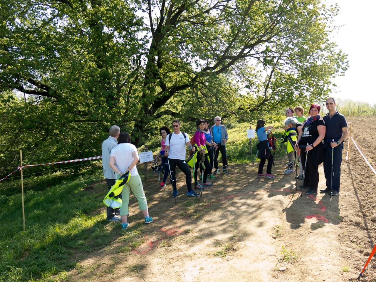 Nordic Walking: Renate#1 - 2019